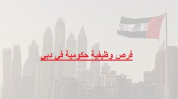 فرص وظيفية حكومية في دبي