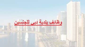 وظائف بلدية دبي للجنسين