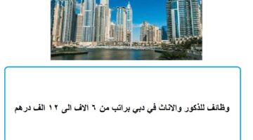وظائف للذكور والاناث في دبي براتب من 6 الاف الى 12 الف درهم
