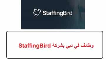 وظائف في دبي بشركة StaffingBird