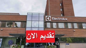 إلكترولوكس مصر تعلن وظائف إدارية برواتب تصل 35,800 جنيه “قدم الآن”