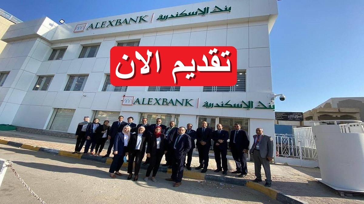 بنك الإسكندرية يعلن فرص وظيفية براتب يصل 11,200 - 13,800 جنيه 7