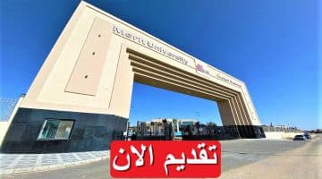 جامعة ميريت تطرح 7 وظائف خالية لمختلف التخصصات برواتب تنافسية 26