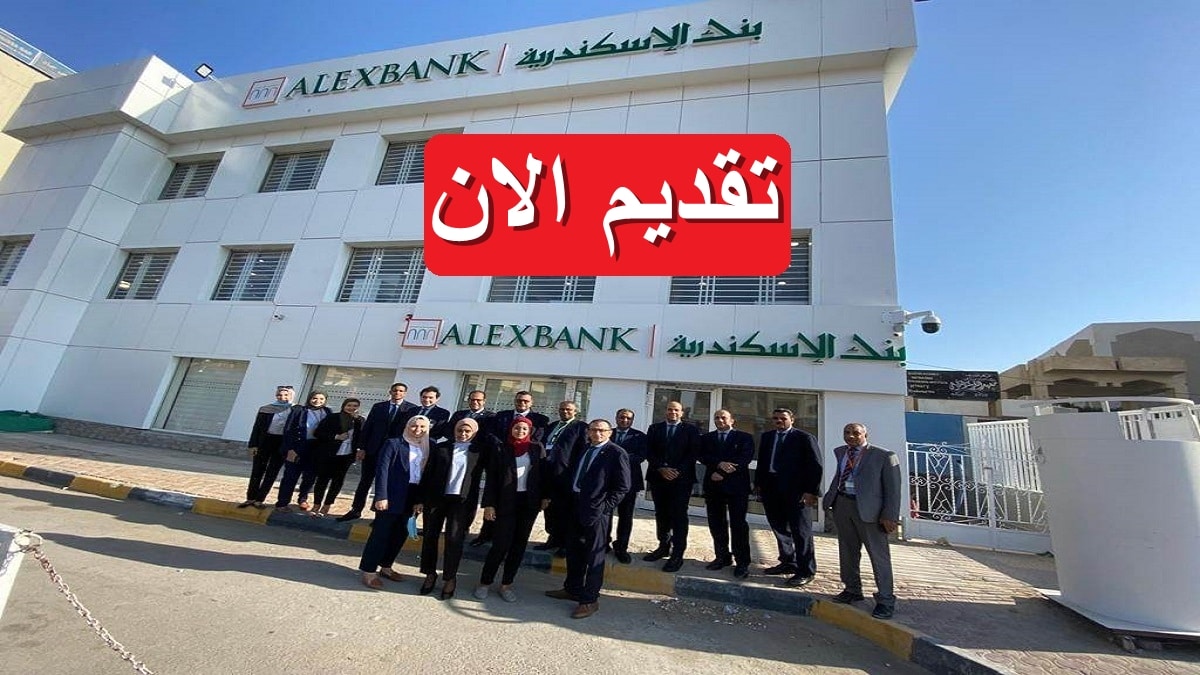 بنك الإسكندرية يطرح 4 شواغر وظيفية 2023 في مصر براتب يصل 12,700 جنيه 7