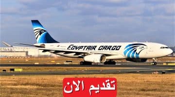 مصر للطيران (Egyptair) تعلن 10 وظائف للرجال والنساء براتب يصل 21,000 جنيه