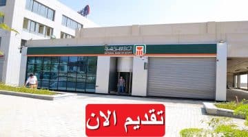 البنك الأهلي المصري يعلن شواغر وظيفية 2023 براتب يصل 9,870 جنيه