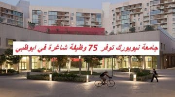 جامعة نيويورك توفر 75 وظيفة شاغرة في ابوظبي 14