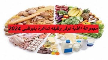 مجموعة أغذية توفر وظيفه شاغرة بأبوظبي 2024 35