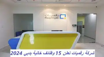 شركة رقميات تعلن 15 وظائف خالية بدبي 2024 11