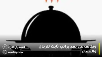 وظائف عن بعد براتب ثابت للرجال والنساء 59