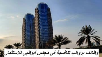 وظائف برواتب تنافسية في مجلس أبوظبي للاستثمار