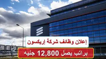 إعلان وظائف شركة إريكسون براتب يصل 12,800 جنيه.. الشروط المطلوبة وطريقة التقديم 47