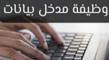 وظيفة مدخل بيانات سلطنة عمان (مكتب سند) 59