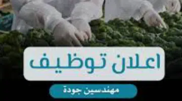 مطلوب مهندسين في سلطنة عمان (الشركة الوطنية لمنتجات الألمنيوم) 107