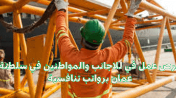 ابحث عن وظيفة في سلطنة عمان (شركة  Steinweg Oman )
