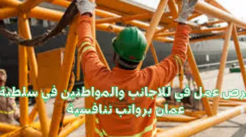 ابحث عن وظيفة في سلطنة عمان (شركة Steinweg Oman ) 59