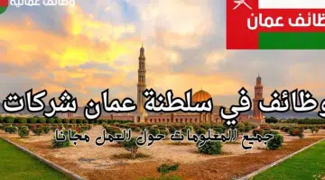 وظائف مهندسين في سلطنة عمان (شركة لانس سوفت ) 57