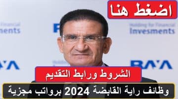 وظائف راية القابضة 2024 برواتب مجزية.. الشروط ورابط التقديم