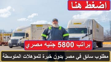 مطلوب سائق في مصر بدون خبرة للمؤهلات المتوسطة براتب 5800 جنيه (قدم الآن) 41