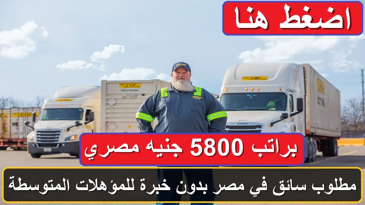 مطلوب سائق في مصر