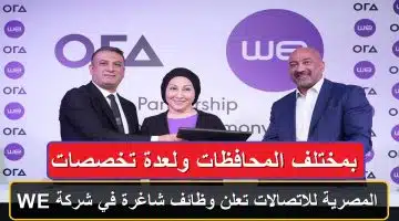 المصرية للاتصالات تعلن وظائف شاغرة في شركة WE بمختلف المحافظات ولعدة تخصصات 11