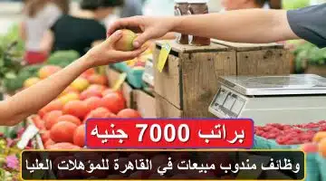 وظائف مندوب مبيعات في القاهرة للمؤهلات العليا براتب 7000 جنيه 15