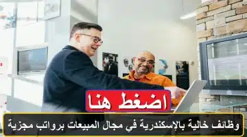 وظائف خالية بالإسكندرية في مجال المبيعات برواتب مجزية.. رابط التقديم 23