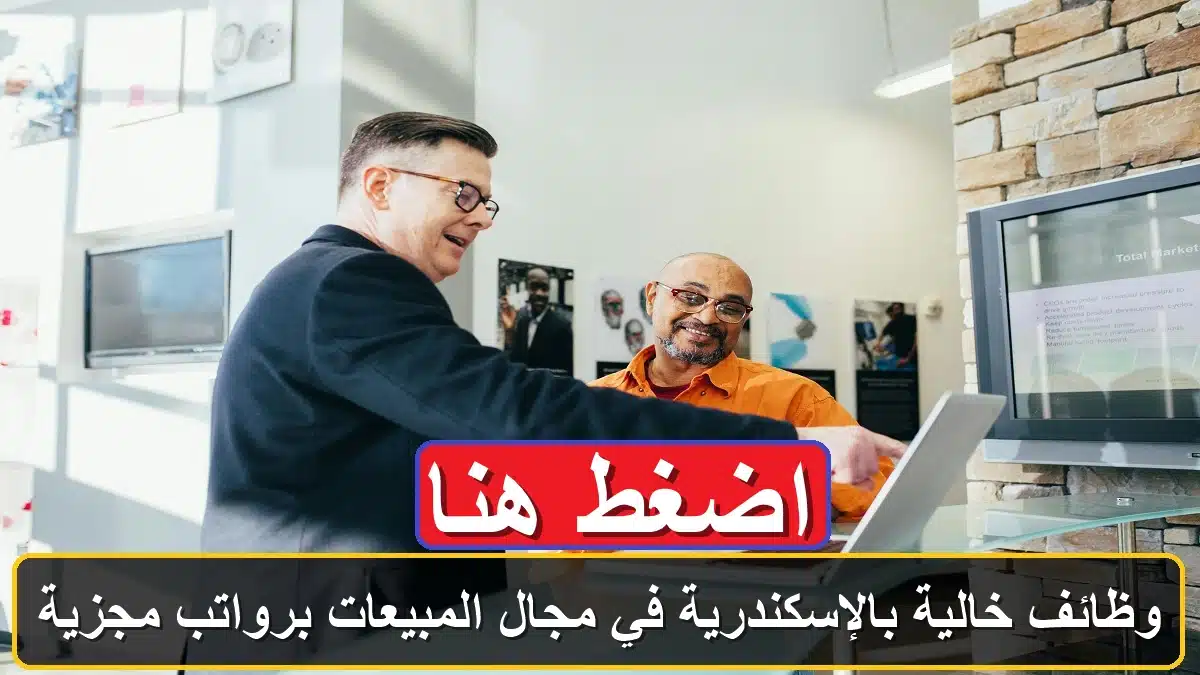 وظائف خالية بالإسكندرية