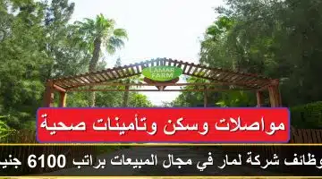 وظائف شركة لمار في مجال المبيعات براتب 6100 جنيه (مواصلات وسكن وتأمينات صحية) 7