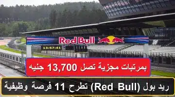 ريد بول (Red Bull) تطرح 11 فرصة وظيفية بمرتبات مجزية تصل 13,700 جنيه 23