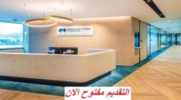 وظائف شركة مارش برواتب ومزايا مغرية في الامارات 2024 8