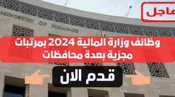 وظائف وزارة المالية 2024 بمرتبات مجزية بعدة محافظات.. رابط التقديم 3