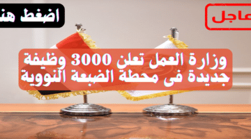 وزارة العمل تعلن 3000 وظيفة جديدة فى محطة الضبعة النووية (تفاصيل) 27