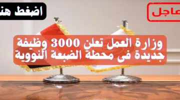 وزارة العمل تعلن 3000 وظيفة جديدة فى محطة الضبعة النووية (تفاصيل) 43
