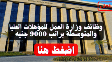 وظائف وزارة العمل للمؤهلات العليا والمتوسطة براتب 9000 جنيه (رابط التقديم) 21