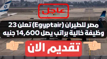 مصر للطيران (Egyptair) تعلن 23 وظيفة خالية براتب يصل 14,600 جنيه .. رابط التقديم 35