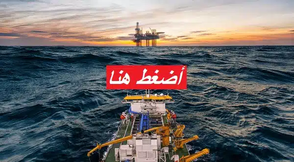 وظائف شركة الجرافات البحرية الوطنية براتب 20,167 درهم 1