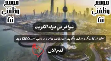 شركة مايكروسوفت الكويت تعلن عن شواغر عديده برواتب تصل الي 1200 دينار كويتي لجميع الجنسيات 8