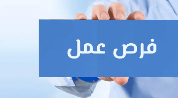 اعلان 120 وظيفة في ابوظبي بدون خبرة للوافدين 1