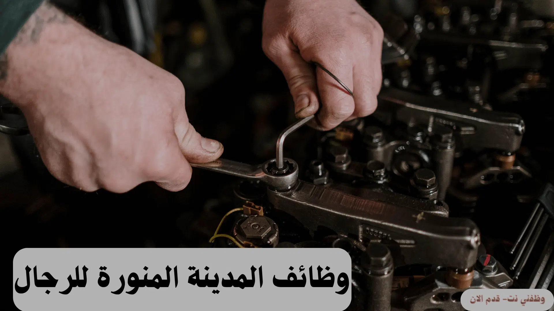 وظائف المدينة المنورة للرجال