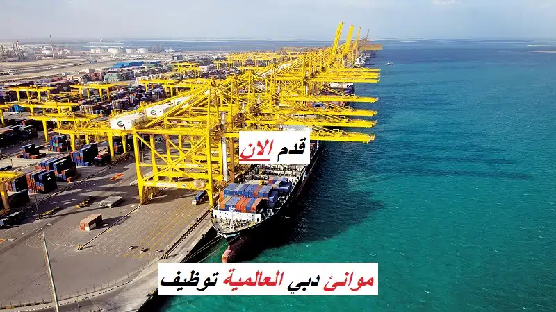 موانئ دبي العالمية توظيف فوري في دبي 2025 1