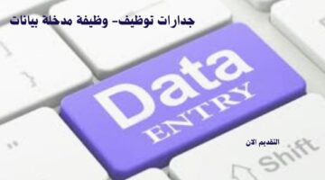 جدارات توظيف- وظيفة مدخلة بيانات 3