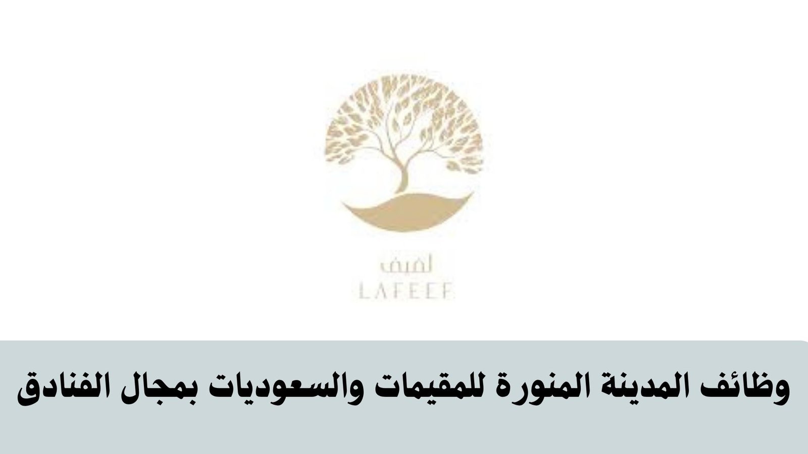 وظائف المدينة المنورة للمقيمات والسعوديات بمجال الفنادق