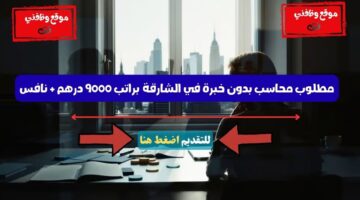 مطلوب محاسب بدون خبرة في الشارقة براتب 9000 درهم + نافس 9