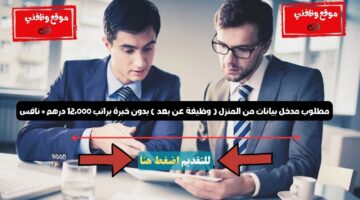 مطلوب مدخل بيانات من المنزل ( وظيفة عن بعد ) بدون خبرة براتب 12،000 درهم + نافس 13