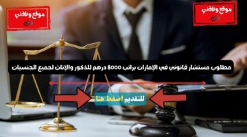 مطلوب مستشار قانوني في الإمارات براتب 8000 درهم للذكور والإناث لجميع الجنسيات 5