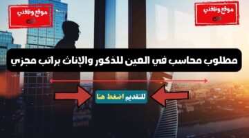 مطلوب محاسب في العين للذكور والإناث براتب مجزي1